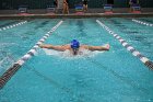 Swim vs Bentley  Wheaton College Swimming & Diving vs Bentley University. - Photo by Keith Nordstrom : Wheaton, Swimming & Diving